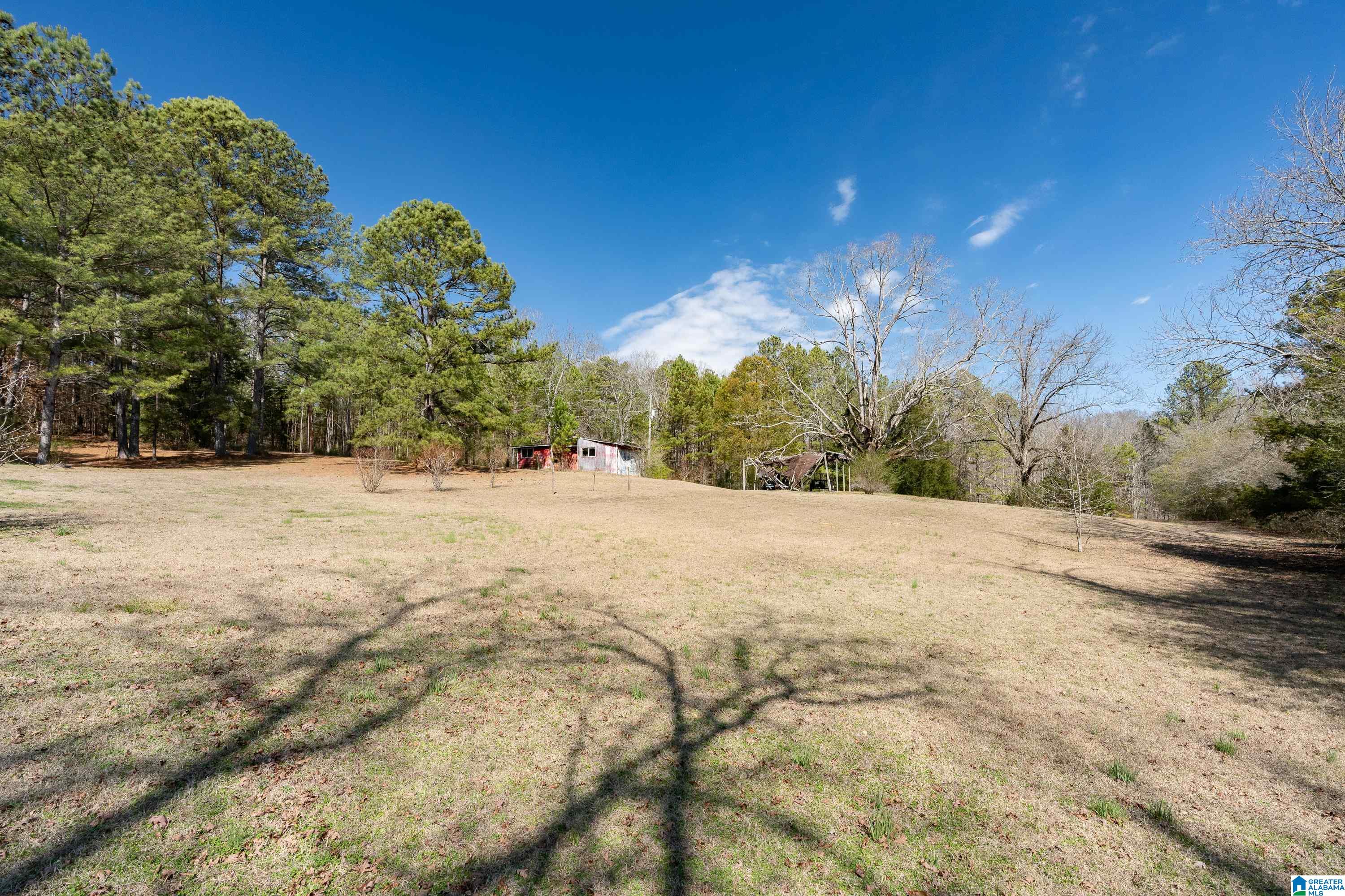 2050 Argo Margaret Road Odenville, AL 35120 - Photo 44 of 61