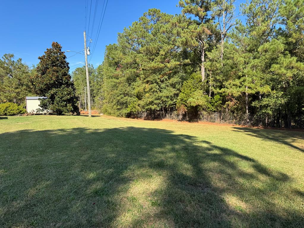 446 Moore Road Pine Mountain, GA 31822 - Photo 23 of 24 Gallery Image 23