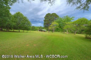 Bird Farm Road Jasper, AL 35503 - Photo 1 of 9 Gallery Image 1