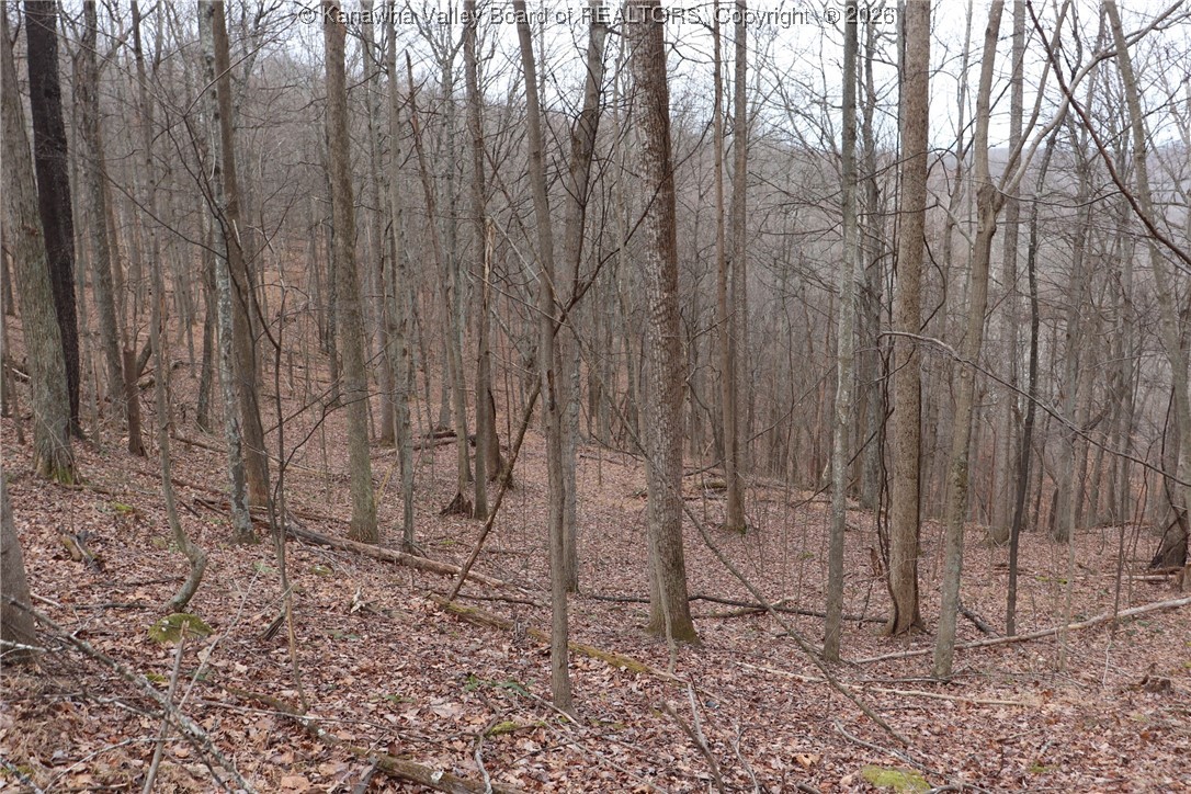 0 Route 12 Road Alum Creek, WV 25003 - Photo 5 of 44 Gallery Image 5