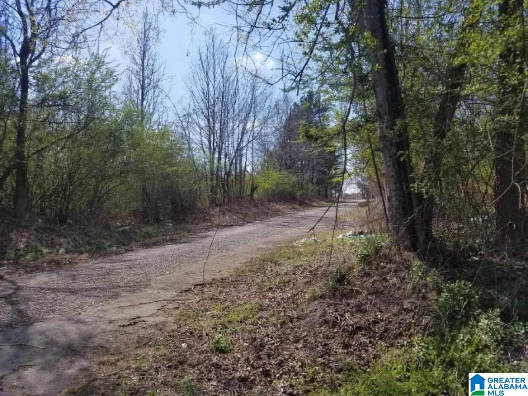 2791 Lacy Road Quinton, AL 35130 - Photo 3 of 4