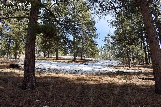 $52,000 | 0 6th Street, Guffey, CO 80820
