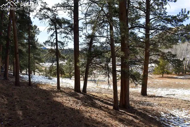 $52,000 | 0 6th Street, Guffey, CO 80820