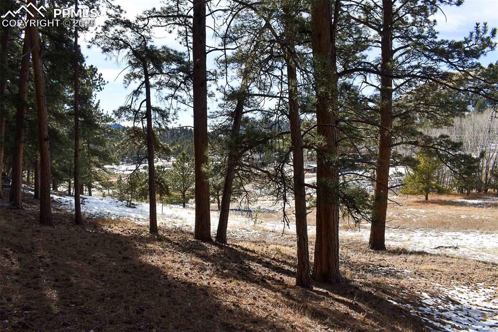 0 6th Street Guffey, CO 80820 - Photo 13 of 28