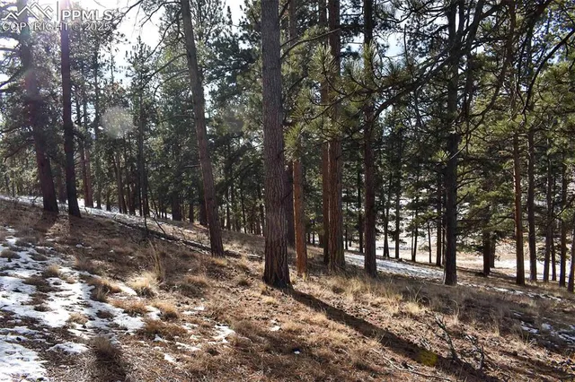 $52,000 | 0 6th Street, Guffey, CO 80820