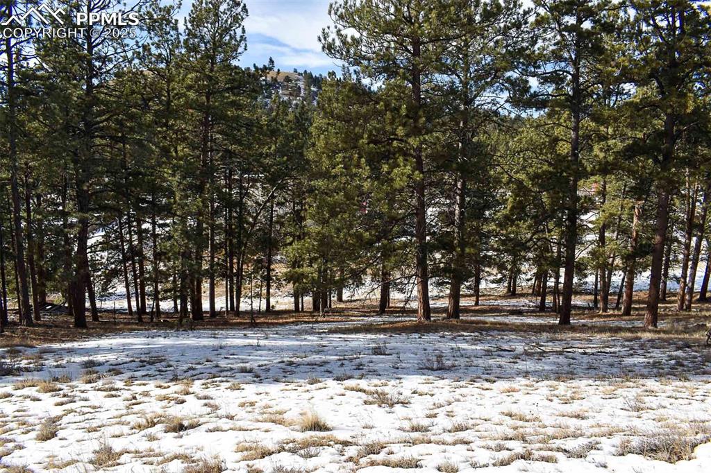 0 6th Street Guffey, CO 80820 - Photo 20 of 28