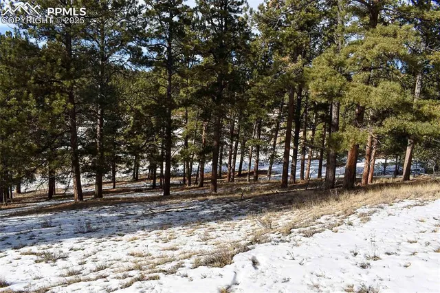 $52,000 | 0 6th Street, Guffey, CO 80820