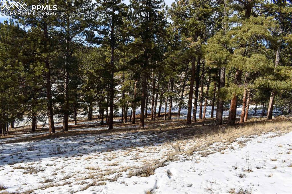 0 6th Street Guffey, CO 80820 - Photo 21 of 28