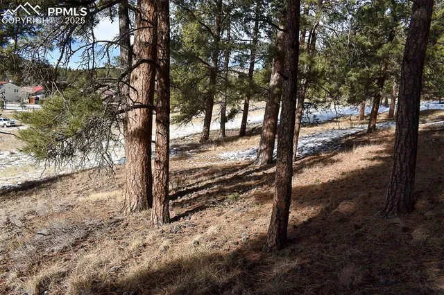 $52,000 | 0 6th Street, Guffey, CO 80820