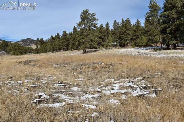 $52,000 | 0 6th Street, Guffey, CO 80820