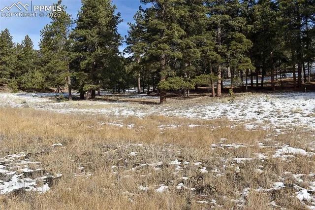 $52,000 | 0 6th Street, Guffey, CO 80820