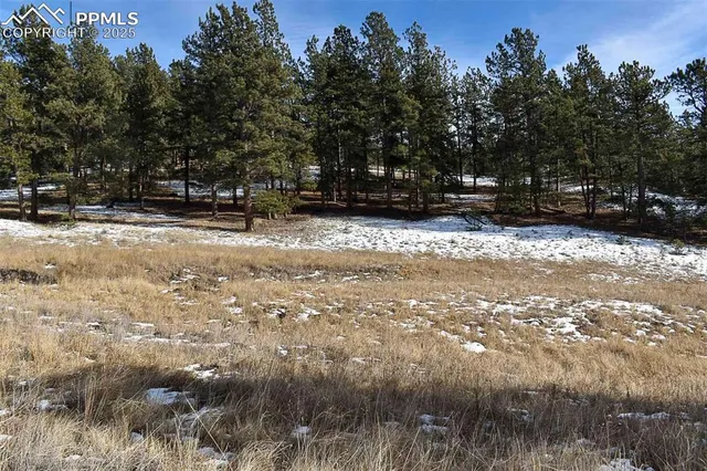 $52,000 | 0 6th Street, Guffey, CO 80820
