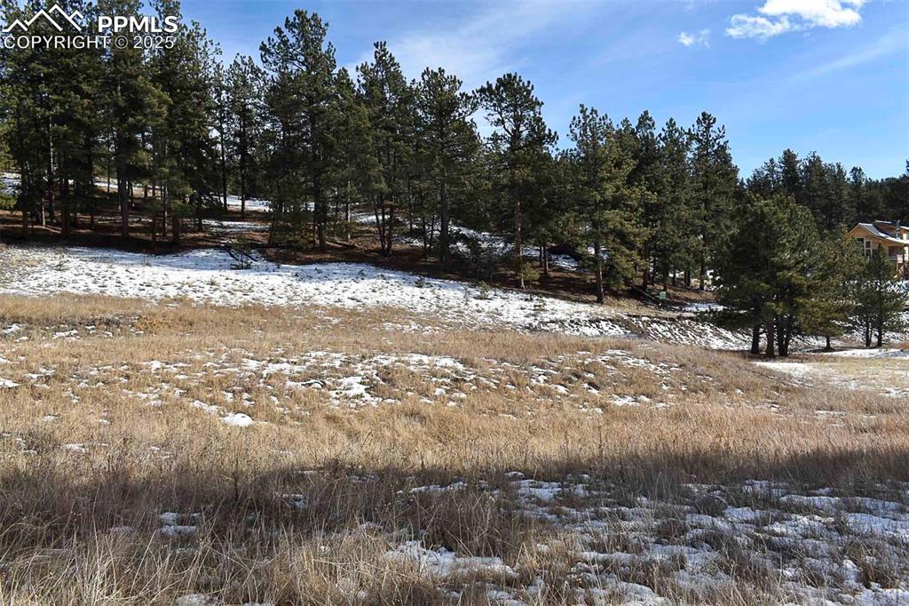 0 6th Street Guffey, CO 80820 - Photo 7 of 28