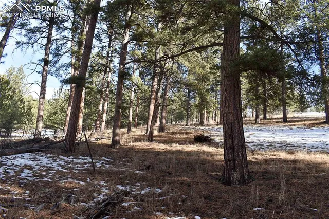 $52,000 | 0 6th Street, Guffey, CO 80820