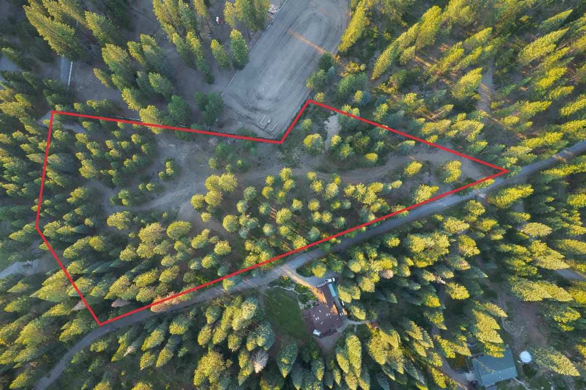 Lot D Timber Country Ranch Road McCloud, CA 96067 - Photo 16 of 16 Gallery Image 16