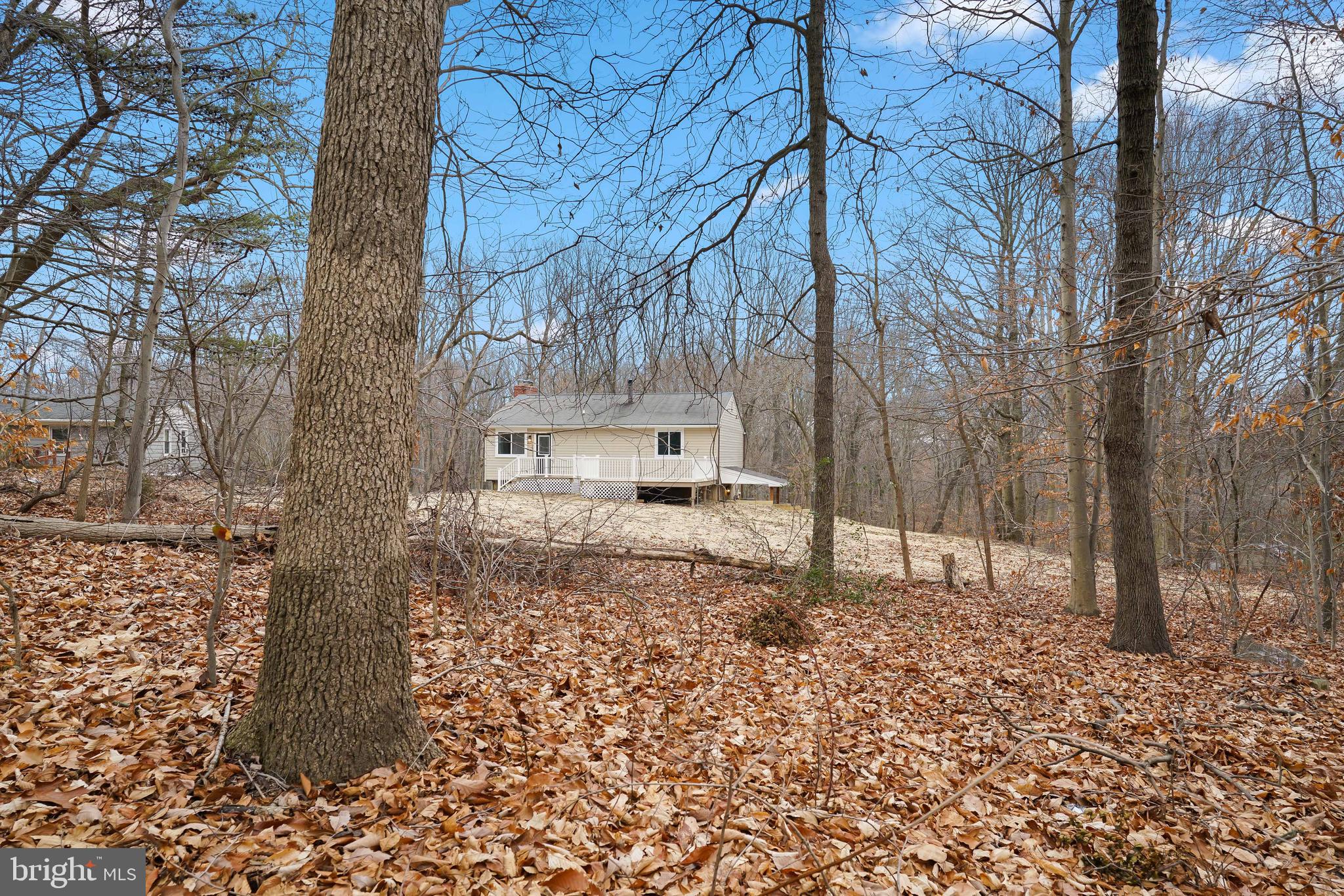 559 Principio Road Port Deposit, MD 21904 - Photo 25 of 33 Rear of home