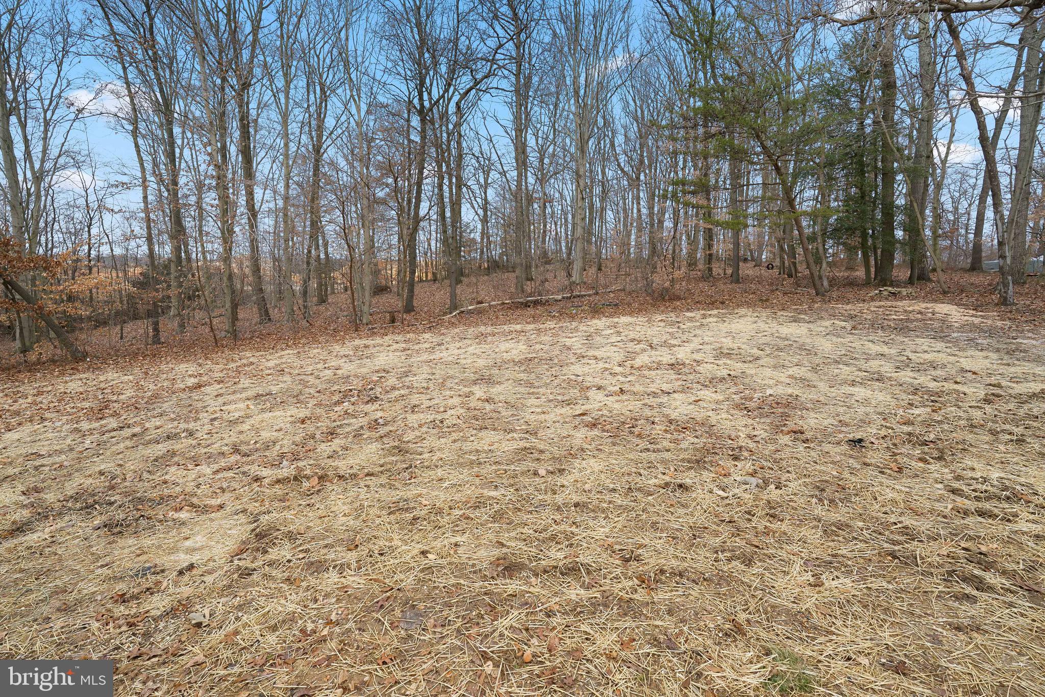 559 Principio Road Port Deposit, MD 21904 - Photo 31 of 33 Rear yard