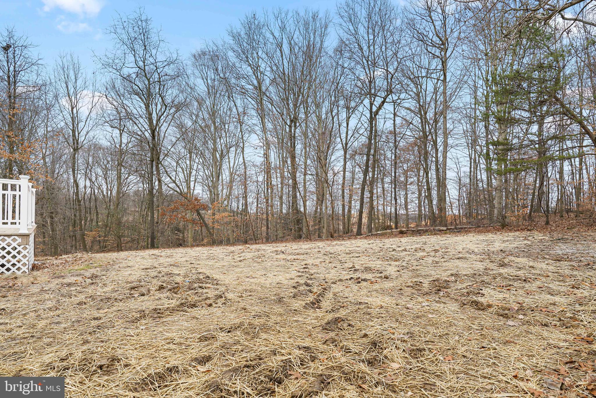 559 Principio Road Port Deposit, MD 21904 - Photo 32 of 33 Rear yard