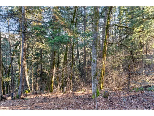 $699,000 | 32 Hamilton Avenue, Underwood, WA 98651