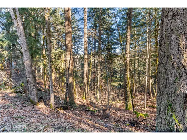 $699,000 | 32 Hamilton Avenue, Underwood, WA 98651