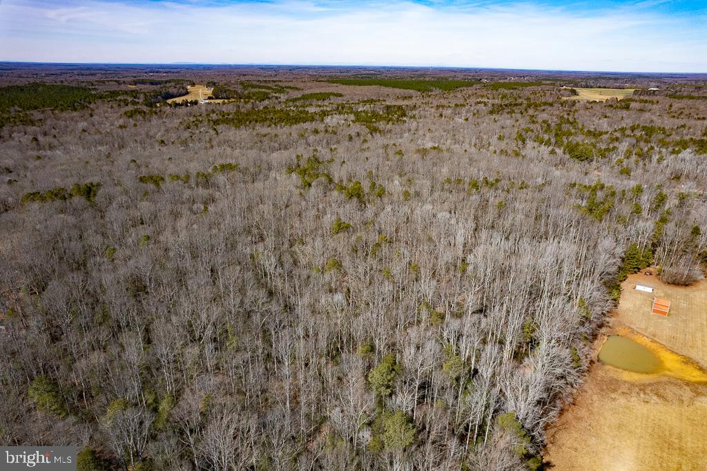 49.26-acres Jericho Road Ruther Glen, VA 22546 - Photo 11 of 40