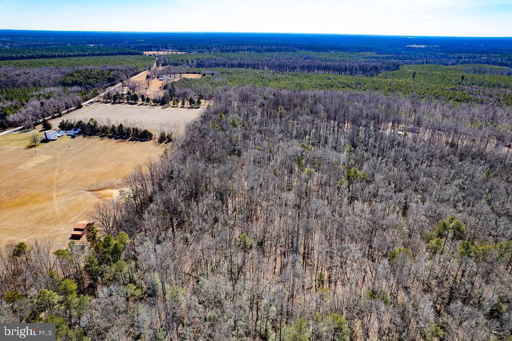 49.26-acres Jericho Road Ruther Glen, VA 22546 - Photo 17 of 40 a view of a yard with an ocean view