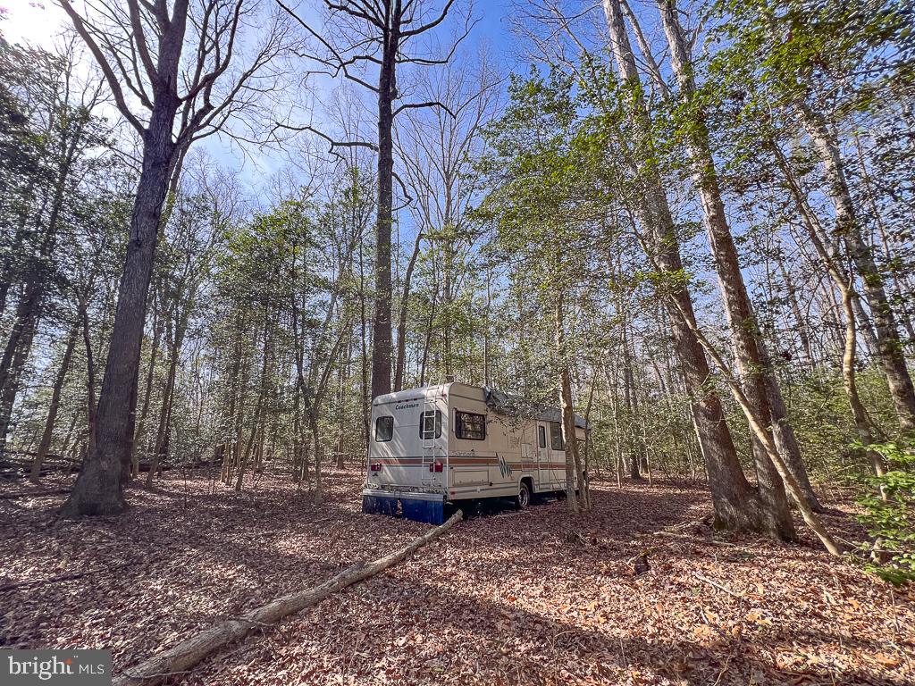 49.26-acres Jericho Road Ruther Glen, VA 22546 - Photo 18 of 40 a view of house with trees in the background