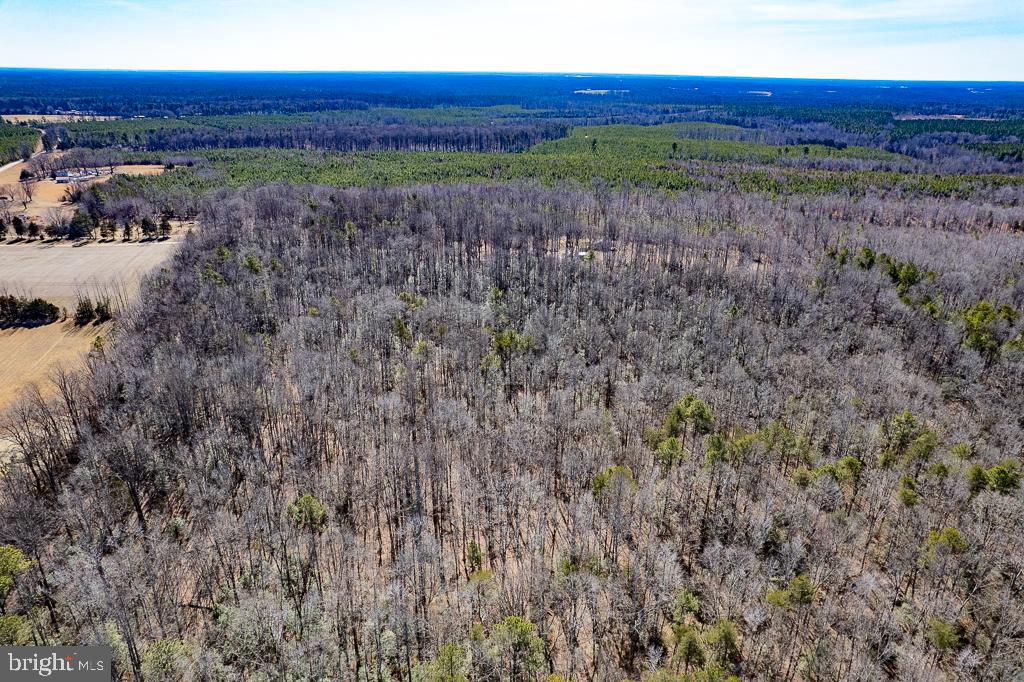 49.26-acres Jericho Road Ruther Glen, VA 22546 - Photo 19 of 40