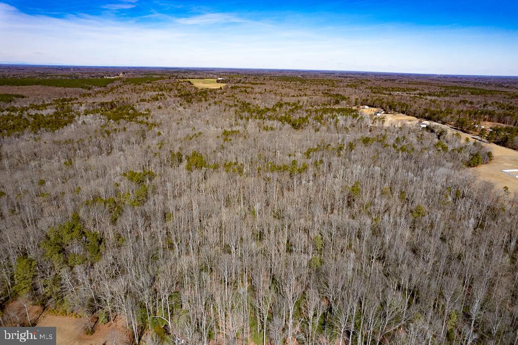 49.26-acres Jericho Road Ruther Glen, VA 22546 - Photo 28 of 40 a view of a city with ocean view
