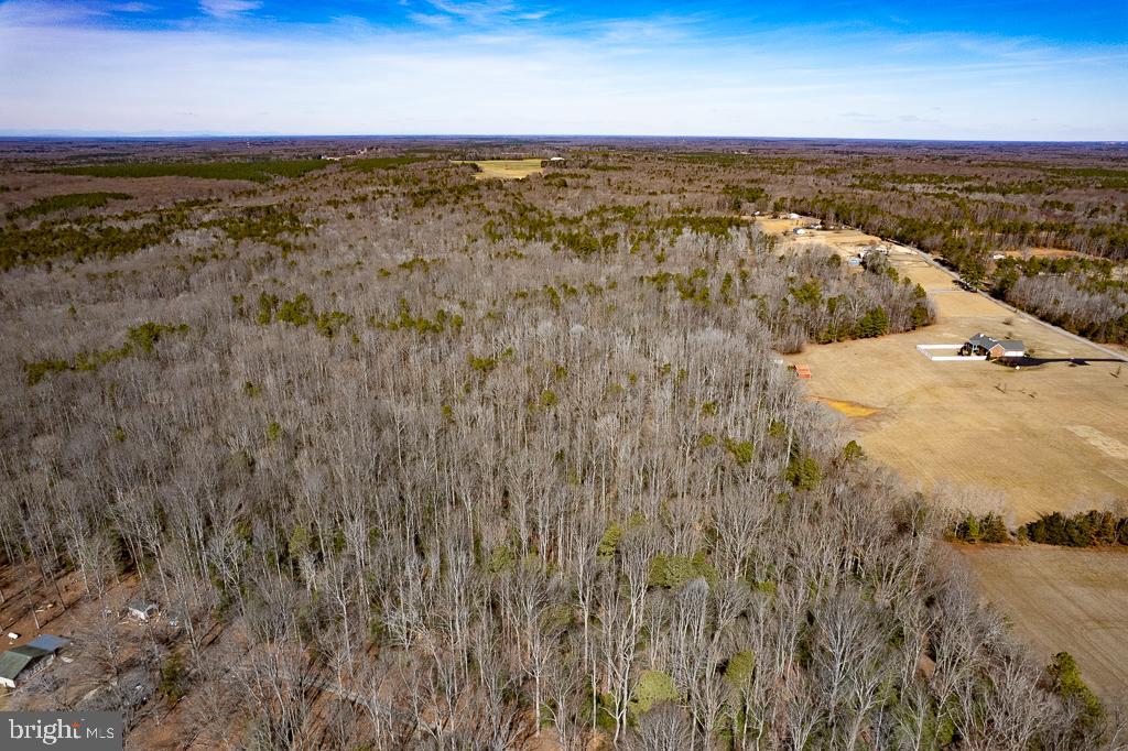 49.26-acres Jericho Road Ruther Glen, VA 22546 - Photo 30 of 40 a view of a sky from a yard