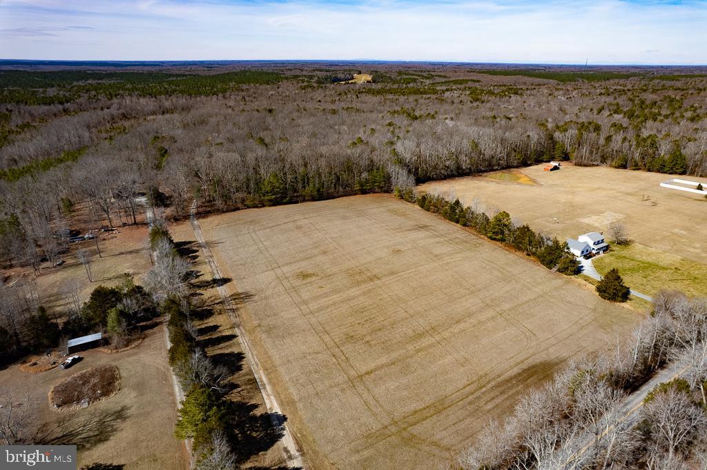 49.26-acres Jericho Road Ruther Glen, VA 22546 - Photo 4 of 40 a view of outdoor space and mountain view