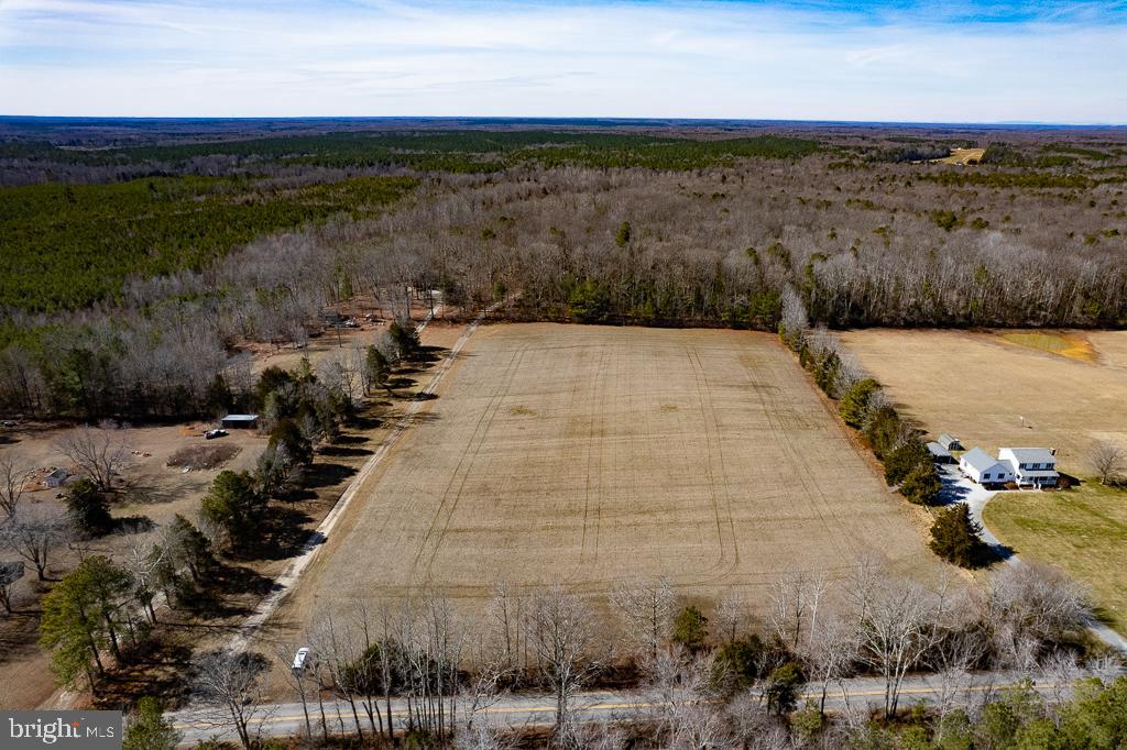 49.26-acres Jericho Road Ruther Glen, VA 22546 - Photo 6 of 40