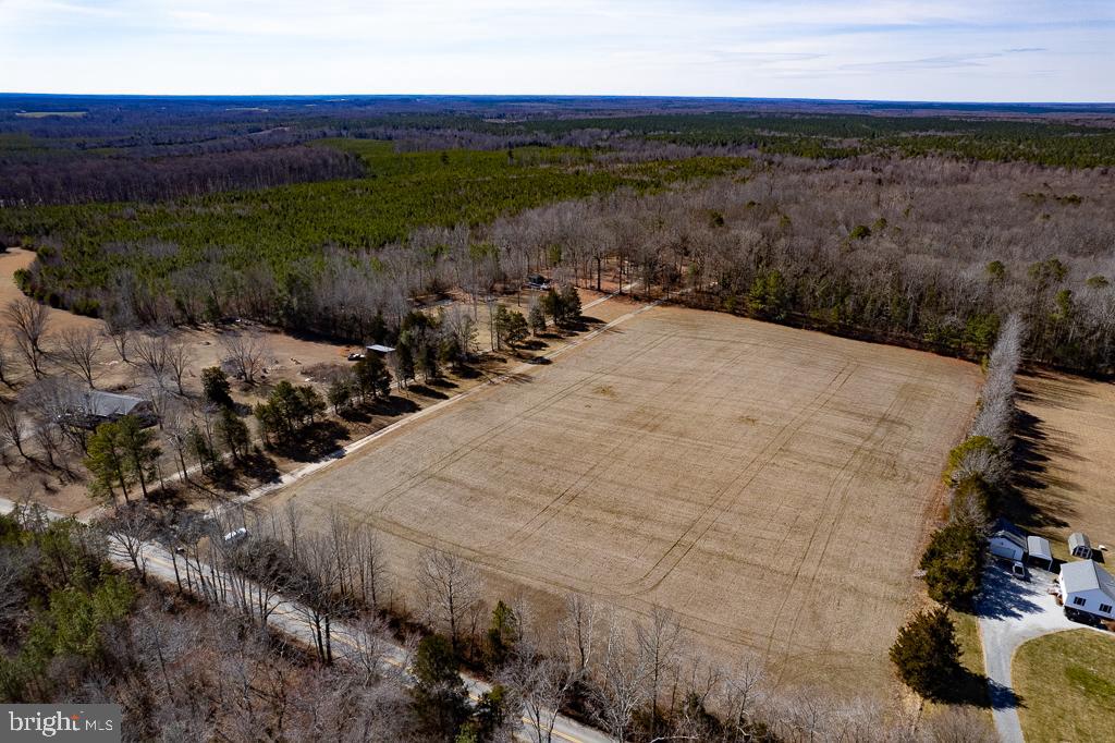 49.26-acres Jericho Road Ruther Glen, VA 22546 - Photo 7 of 40 a view of a yard with an outdoor space