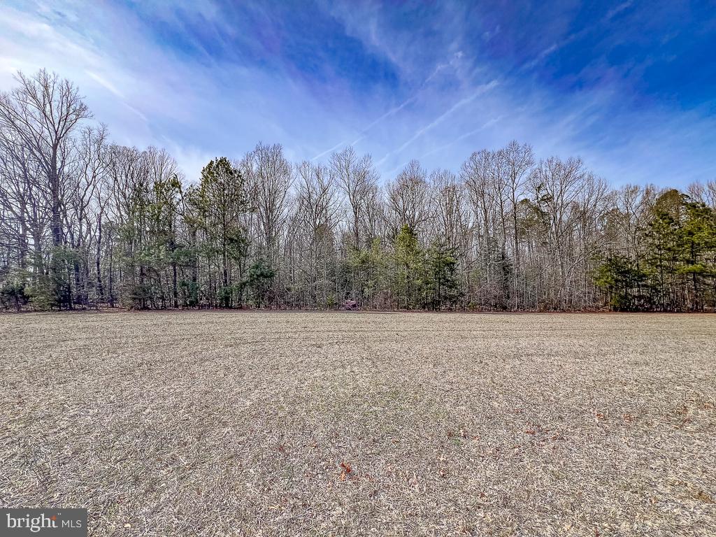 49.26-acres Jericho Road Ruther Glen, VA 22546 - Photo 8 of 40 a view of dirt field with trees in background