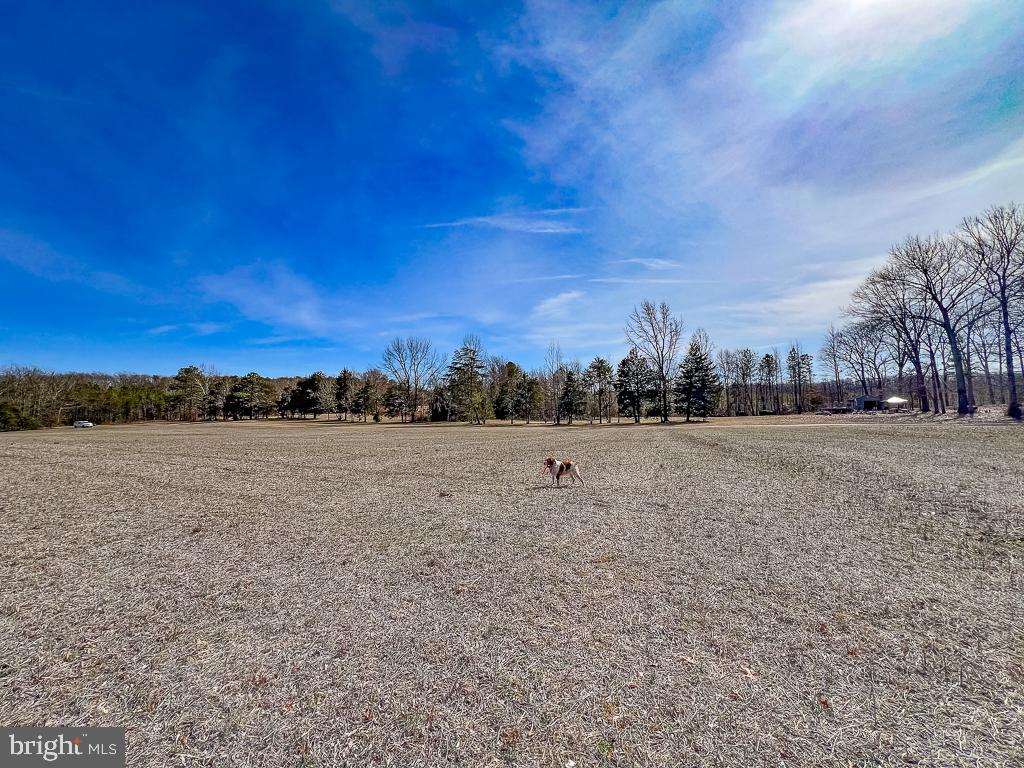 49.26-acres Jericho Road Ruther Glen, VA 22546 - Photo 10 of 40 a view of outdoor space