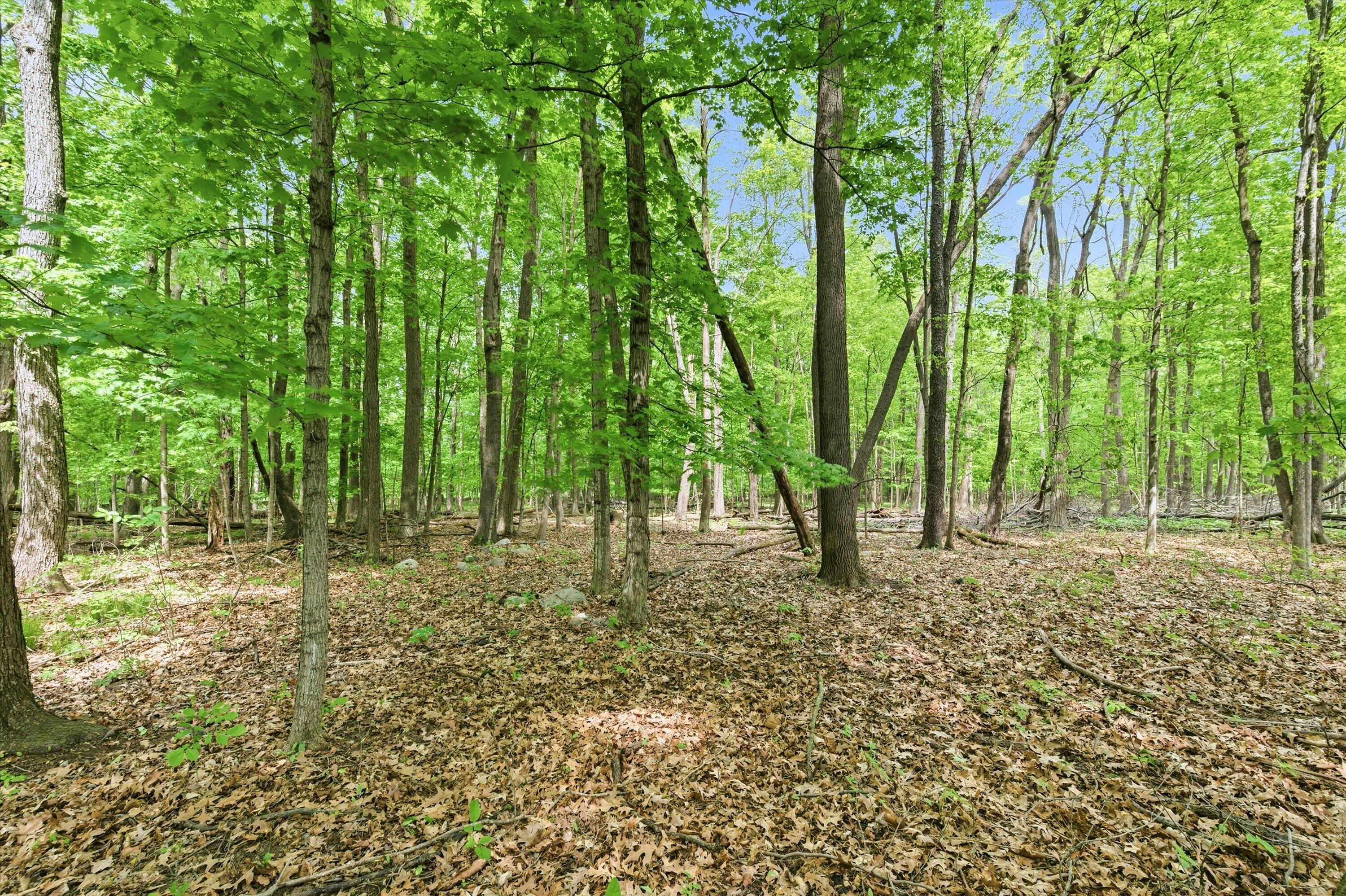 9949 Crofoot Road Fowlerville, MI 48836 - Photo 43 of 45 19-17