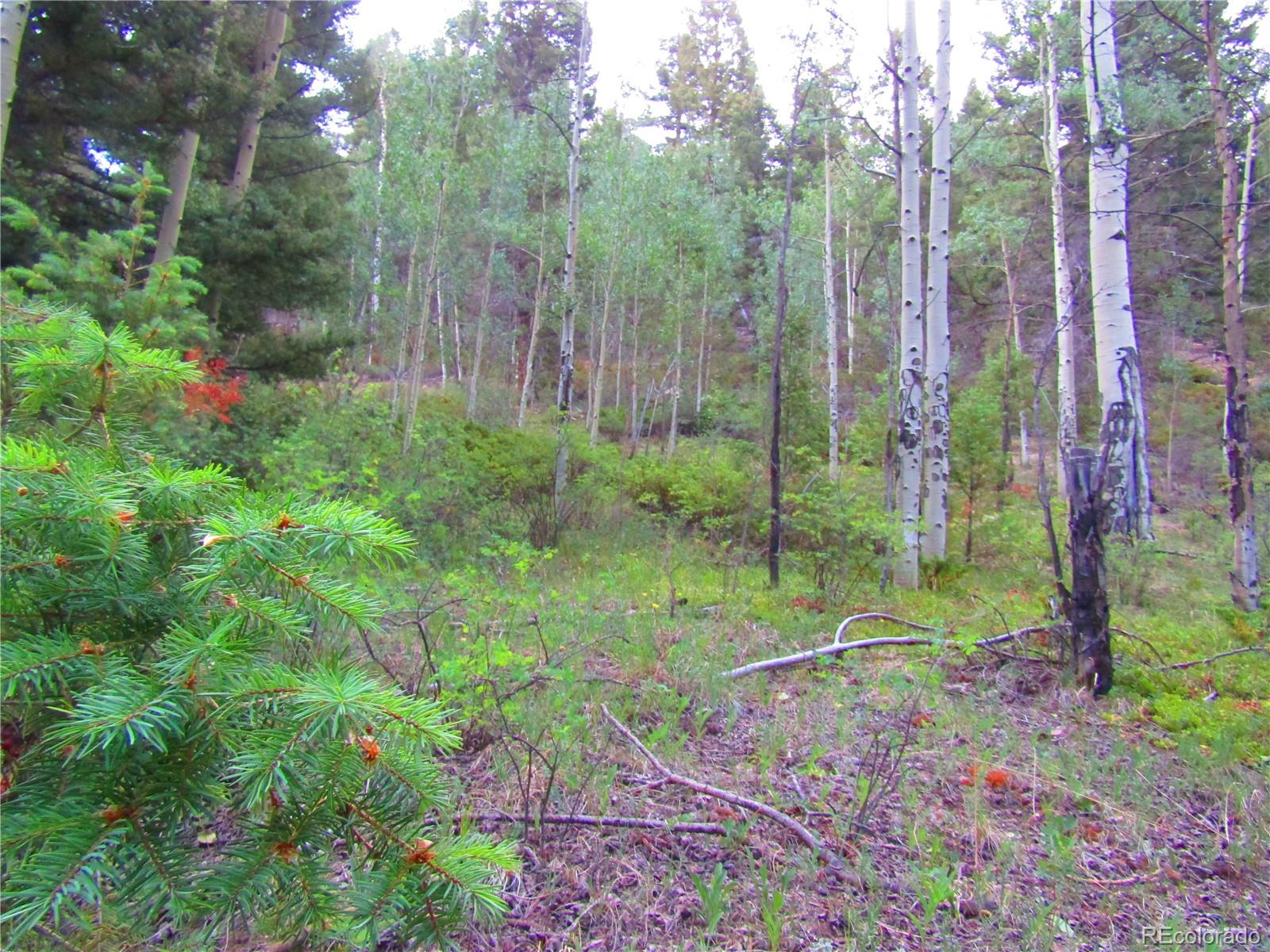 Lot 6461 Jacquez Road San Luis, CO 81152 - Photo 4 of 22