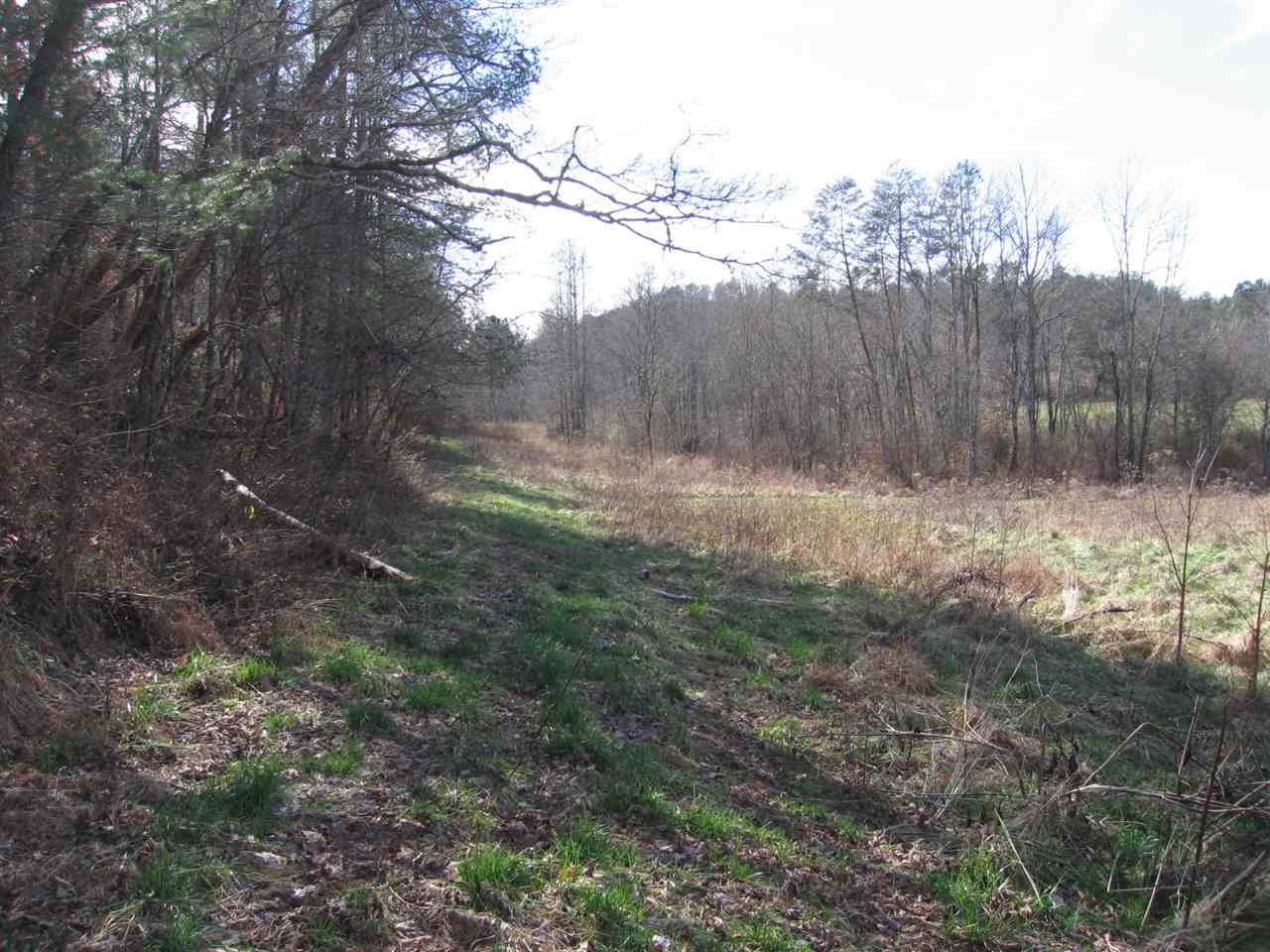 0 Towee Pike Reliance, TN 37369 - Photo 8 of 41