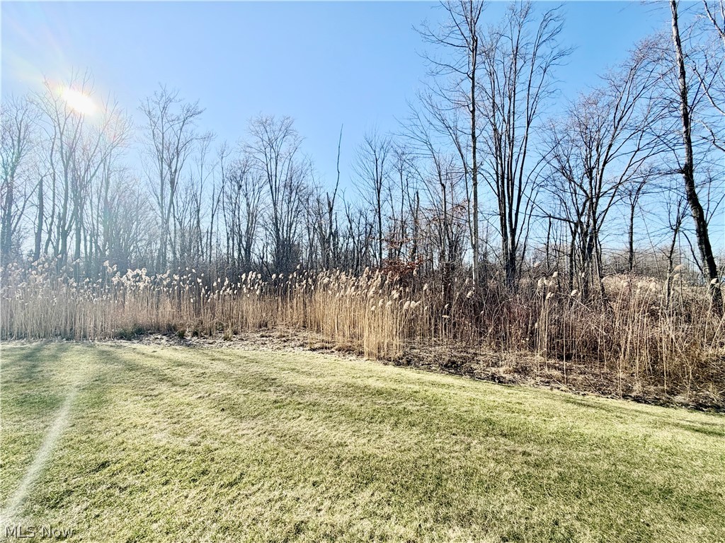 153 Raintree Lane Painesville, OH 44077 - Photo 3 of 13 View of green lawn