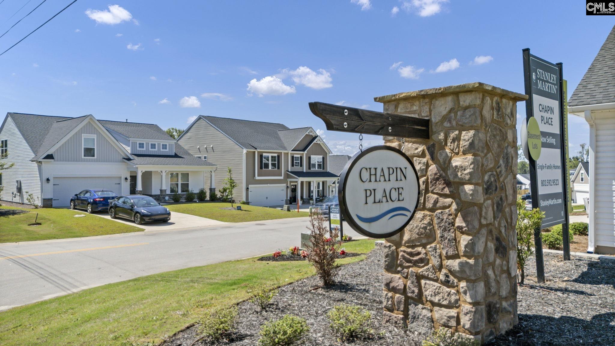 209 Chapin Pl Way Chapin, SC 29036 - Photo 53 of 53