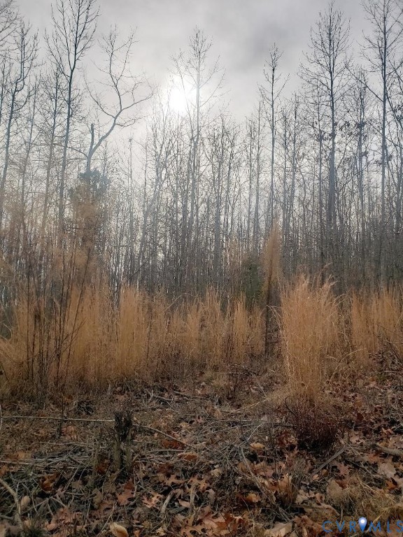 Lot 14 Mountain Creek Road Green Bay, VA 23942 - Photo 1 of 1 a view of a backyard of the house