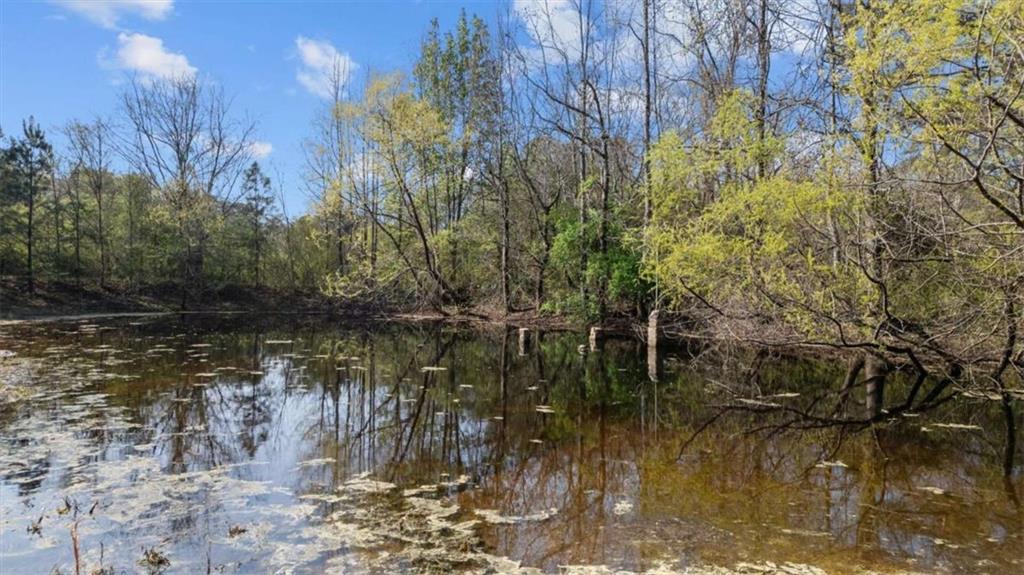 5745 Northcutt Road Fairburn, GA 30213 - Photo 5 of 30