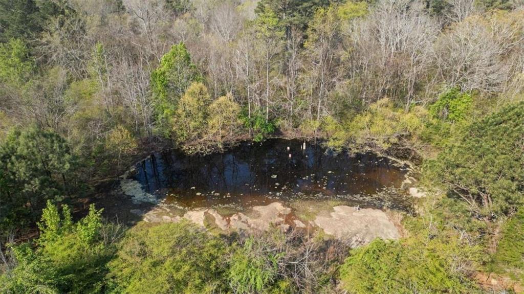 5745 Northcutt Road Fairburn, GA 30213 - Photo 6 of 30