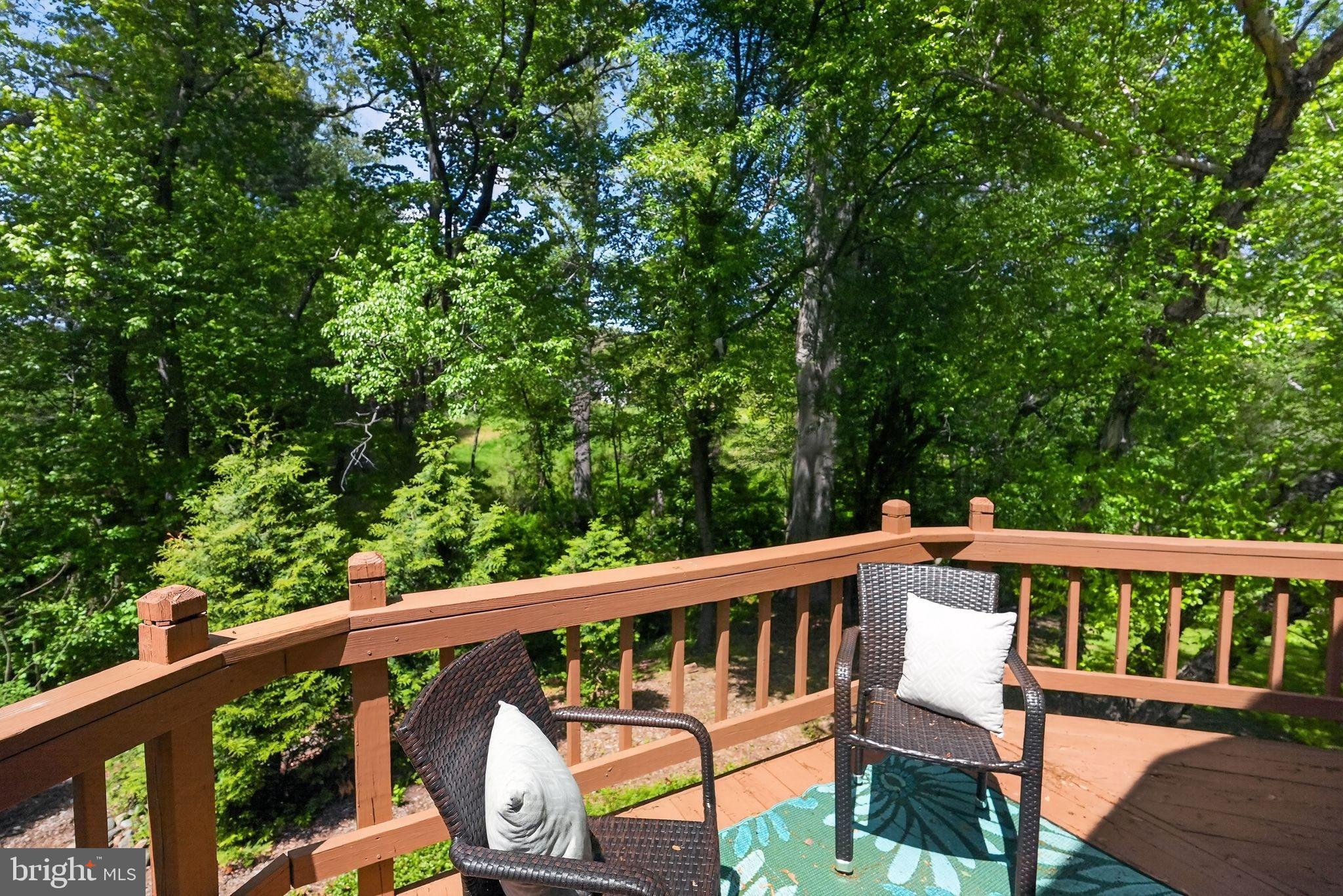 13821 Esworthy Road Darnestown, MD 20874 - Photo 16 of 98 Morning coffee on the deck off the primary bedroom