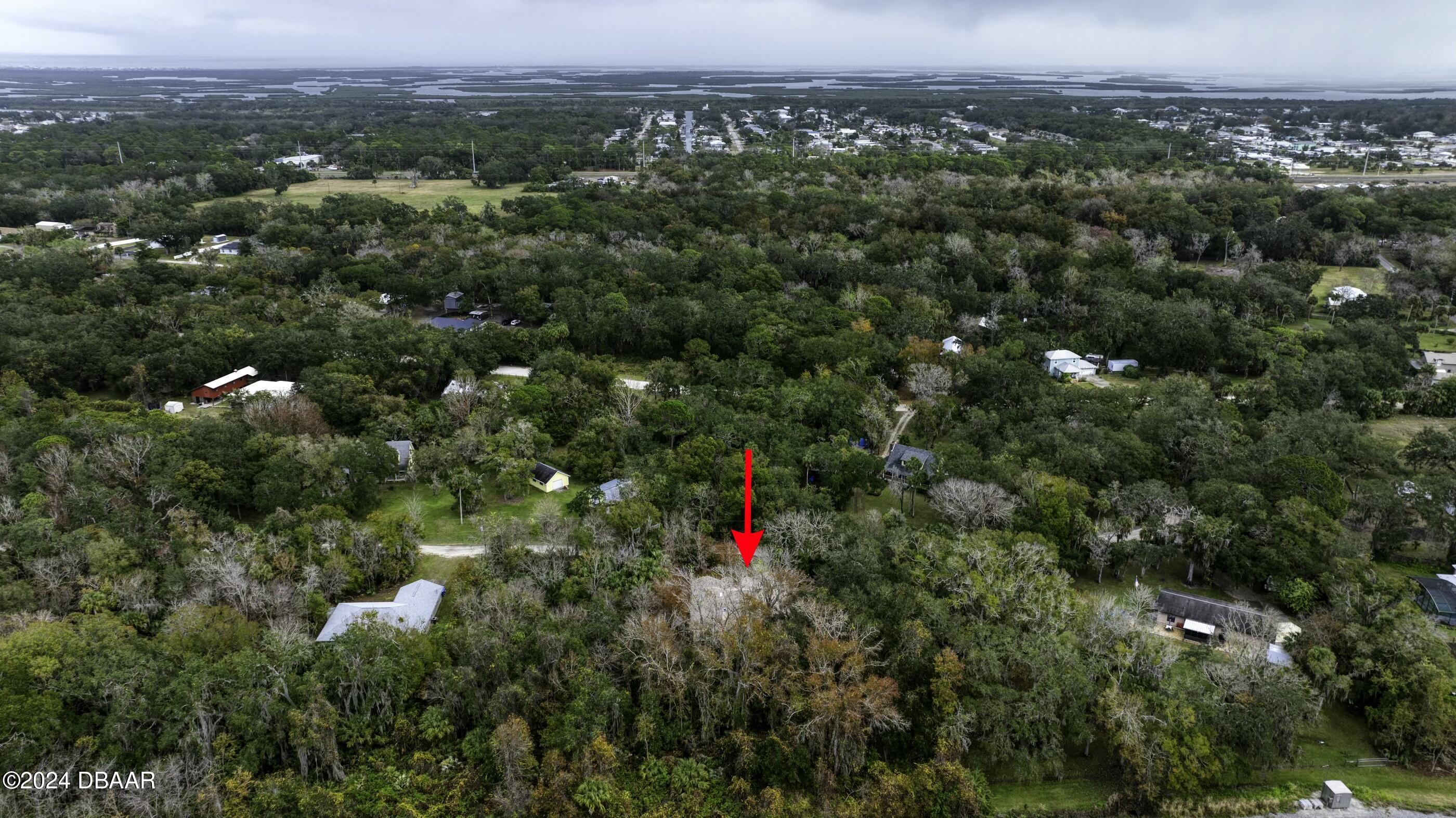 4660 Tree Top Lane Edgewater, FL 32141 - Photo 63 of 66 tempImageTKP8a7