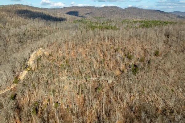 $1,697,500 | 0 Puncheon Creek Lane, Livingston, TN 38570