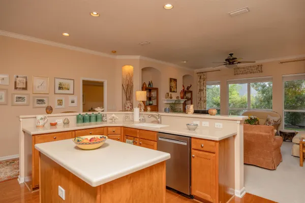 a view of a yard with potted plants