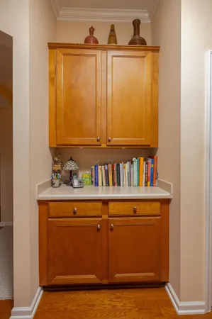 a view of a garden with potted plants