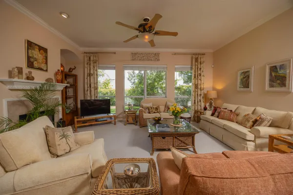 a view of a backyard