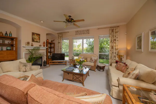 a view of a backyard with plants and large trees
